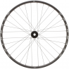 Roue REYNOLDS A309 DH Pro 20x110 IS6 (avant)
