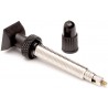 Valve tubeless REYNOLDS 55 mm