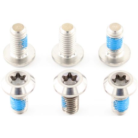 Vis de disque titane (par 6)